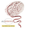 Super Bulky Imitation Fur Polyester Yarn OCOR-TAC0016-36E-3