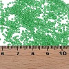 15/0 Transparent Czech Glass Seed Beads SEED-N004-004-20-5