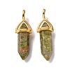 Natural Unakite Pointed Pendants G-K329-39G-2