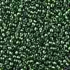 TOHO 11/0 Round Beads X-SEED-TR11-1006-2