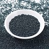 MIYUKI Round Rocailles Beads SEED-G007-RR0362-2