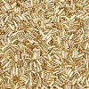 Plated Glass Bugle Beads SEED-S046-01A-22-2