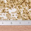 MIYUKI Delica Beads SEED-X0054-DB2525-4