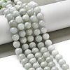 Natural Myanmar Jadeite Beads Strands G-L595-C01-03-2