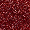 6/0 Glass Seed Beads X2-SEED-A005-4mm-25-2