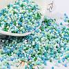 Baking Paint Glass Seed Beads X-SEED-S042-05B-52-1