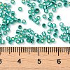 Glass Seed Beads X-SEED-S042-04B-29-4