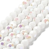 Opaque Glass Beads Strands EGLA-A035-P10mm-L01-1