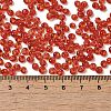 Transparent Colours Glass Seed Beads SEED-P006-02A-06-4