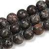 Natural Larvikite Beads Strands G-F792-C03-03-2
