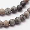 Natural Polychrome Jasper/Picasso Stone/Picasso Jasper Beads Strands G-N0191-01-2mm-3