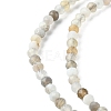Natural Botswana Agate Beads Strands G-F748-B01-01-4