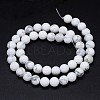 Round Natural Howlite Bead Strands LS-G-F222-14-6mm-3