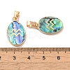 Constellation Natural Paua Shell Pendants KK-P265-01G-09-3