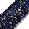 Natural South Africa Sodalite Beads Strands G-S259-35-8mm-4