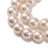 Baking Paint Pearlized Glass Pearl Round Bead Strands PEAR-H019-02C-02-3