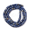 Natural Sodalite Beads Strands G-H230-72-3