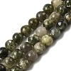 Natural Green Lepidolite Beads Strands G-K350-C01-8mm-2