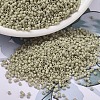 MIYUKI Delica Beads SEED-J020-DB2363-1