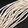 Natural Magnesite Beads Strands TURQ-L017-3mm-02A-1