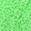 6/0 Luminous Glass Seed Beads X1-SEED-NH0001-01H-4