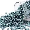 TOHO 8/0 Round Beads SEED-XTR08-1206-1