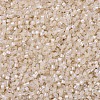 MIYUKI Delica Beads X-SEED-J020-DB1874-3