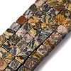 Natural Map Stone Beads Strands X-G-T139-8x8-45B-2