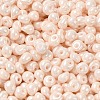 6/0 Glass Seed Beads X1-SEED-M012-01A-09-3