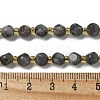 Natural Larvikite Beads Strands G-K387-A02-01-5
