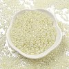 Ceylon Glass Seed Beads SEED-K009-02B-38-2