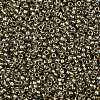 TOHO Round Seed Beads SEED-JPTR11-0993-2