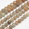 Natural Multi-Moonstone Beads Strands X-G-J157-6mm-10-1
