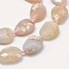 Natural Cherry Blossom Agate Beads Strands G-P319-09-3