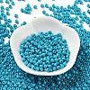 Baking Paint Glass Seed Beads SEED-H002-I-A508-2