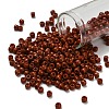 TOHO 6/0 Round Beads X-SEED-TR06-0046L-1