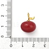 Enamel Plastic Pendants KK-G526-21G-04-3
