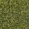 MIYUKI Delica Beads SEED-MY11-DB2377-3