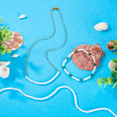 1 Strand Natural Trochus Shell Rondelle Beads Strands SSHEL-TA0001-16A-1