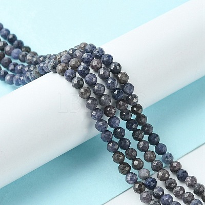 Natural Sapphire Beads Strands G-F748-M01-02-1