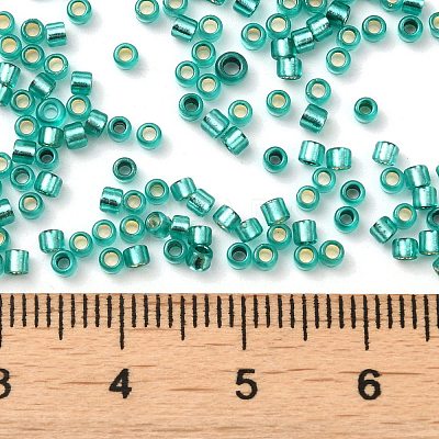 Glass Seed Beads X-SEED-S042-04B-29-1