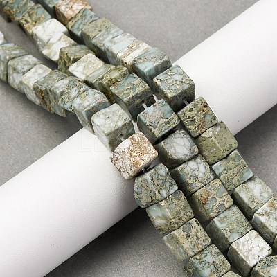 Natural Variscite Beads Strands G-B155-C05-8x8mm-1