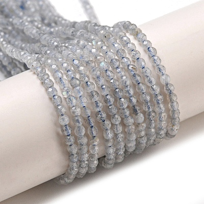 Natural Labradorite Beads Strands G-A097-A07-01-1