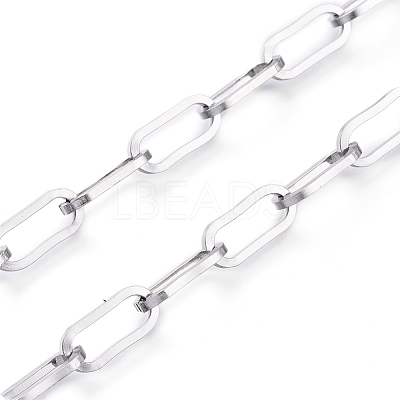 Tarnish Resistant 304 Stainless Steel Paperclip Chains CHS-D030-02P-1