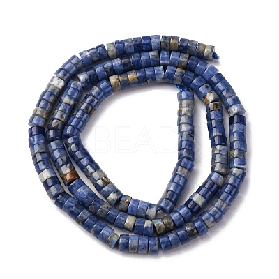 Natural Sodalite Beads Strands G-H230-72-1