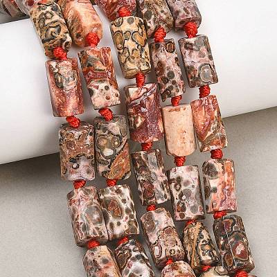Natural Red Leopard Skin Jasper Beads Strands G-A314-A05-01-1
