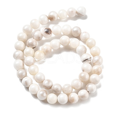 Natural Persian Jade Beads Strands G-A255-A02-02K-1