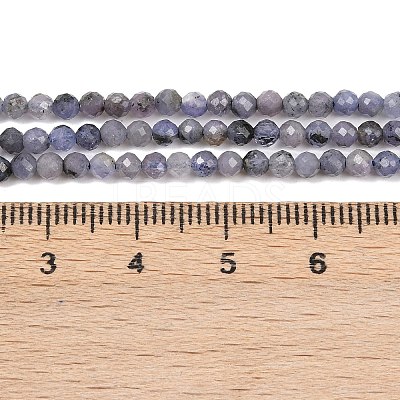 Natural Tanzanite Beads Strands G-C255-A01-3mm-1
