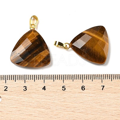 Natural Tiger Eye Pendants G-L614-D04-G02-1