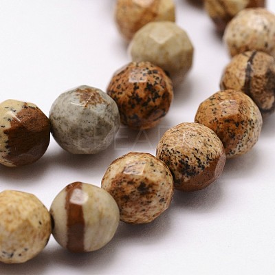 Natural Picture Jasper Beads Strands G-D840-47-10mm-1